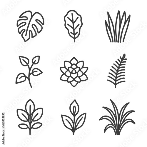 Indoor Plant Icon Set. Outline icon set of indoor plant varieties: monstera leaf, fiddle leaf fig, snake plant, pothos vine,
