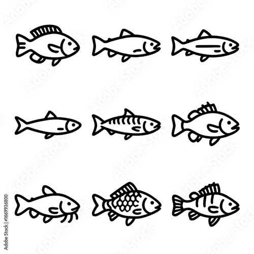 Local Catch Icons. Outline icon set of local catch species: tilapia, trout, salmon, sardine, mackerel, bass, catfish, carp, perch.