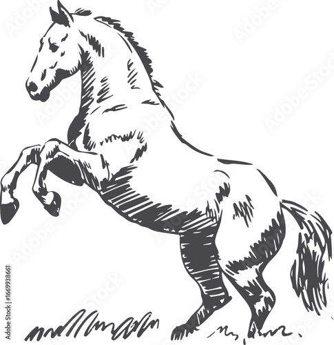 Horse Sketch Vector Illustration of Equestrian Animal in Action Pose