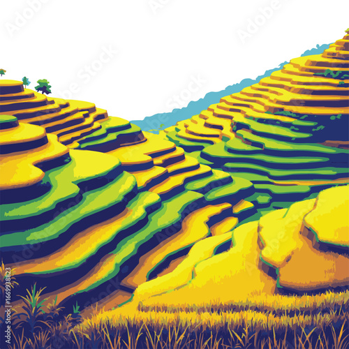 Rice Terraces Landscape