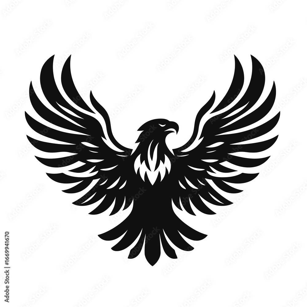 Fototapeta premium eagle with wings