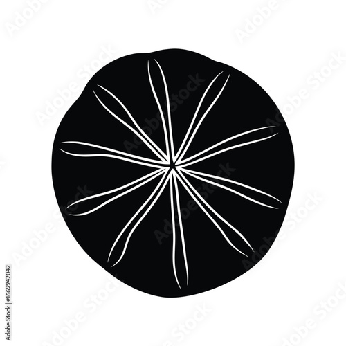 citrus fruit vector illustration