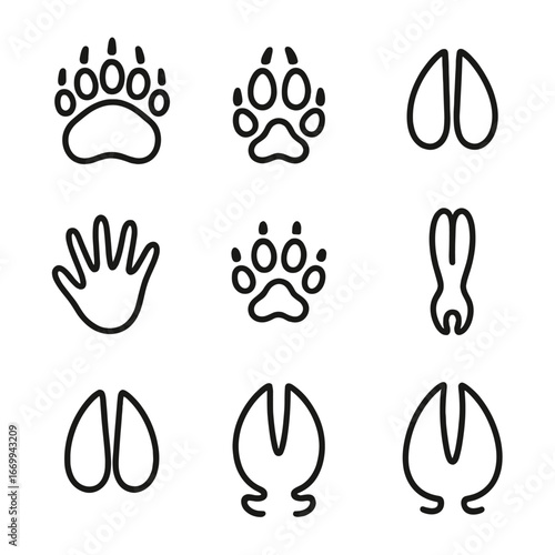 Wild Animal Tracks. Outline icon set of wild mammal tracks: bear paw print, wolf track, deer hoof print, fox paw print, raccoon
