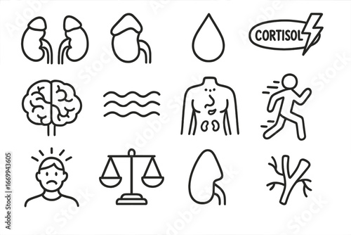 Adrenal Gland Doodles. Hand-drawn doodle illustration adrenal glands adrenal gland, kidney, hormone drop, cortisol icon,