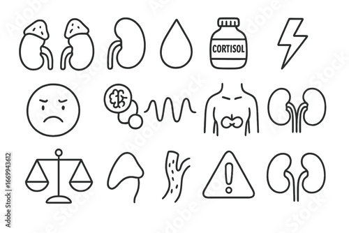 Adrenal Gland Doodles. Hand-drawn doodle illustration adrenal glands adrenal gland, kidney, hormone drop, cortisol icon,