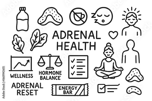 Adrenal Health Icons. Hand-drawn doodle illustration adrenal health adrenal gland, water bottle, leafy food, no caffeine sign,