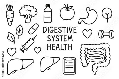 Digestive Health Doodles. Hand-drawn doodle illustration digestive system health carrot, broccoli, water bottle, apple, stomach,
