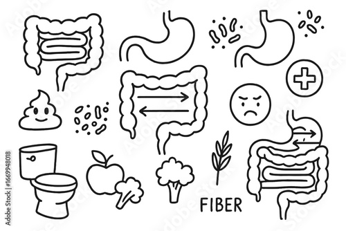 Digestive System Doodles. Hand-drawn doodle illustration intestines intestines, small intestine, large intestine, stomach, colon,