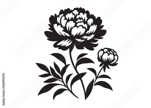 peony flower logo silhouette vector, carnation flower silhouette logo vector illustration, Silhouette of a peony flower petals and leaf, peony flower logo silhouette vector on white background.