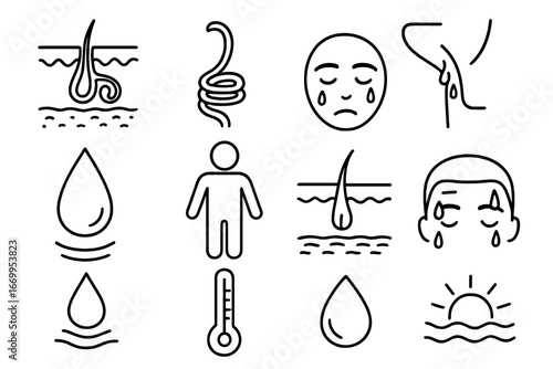 Sweat Gland Diagram. Hand-drawn doodle illustration sweat glands sweat gland, skin layer, pore, sweat droplet, epidermis, dermis,