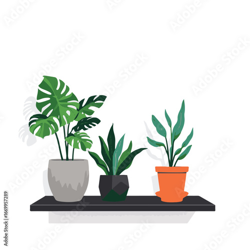 Indoor potted plants on table design