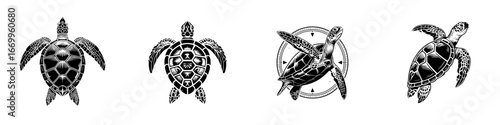Black and white sea turtle designs with nautical compass elements, minimalist monochrome icons