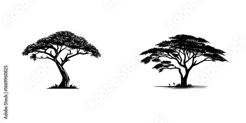 Two acacia trees with flat-topped canopy and thick trunk, minimalist monochrome icons