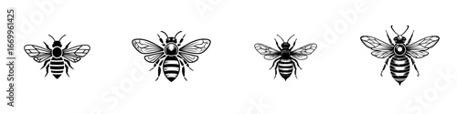 Stylized bees with detailed wings and striped bodies in graphic black and white, minimalist monochrome icons