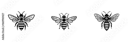 Stylized bee icons with detailed wings and segmented bodies in black and white silhouette, minimalist monochrome icons