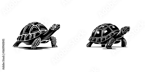 Two tortoises walking, detailed shells and textured skin, black and white graphic style, minimalist monochrome icons
