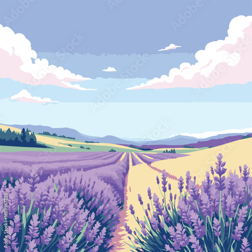 Lavender farm blooming on hillside landscape
