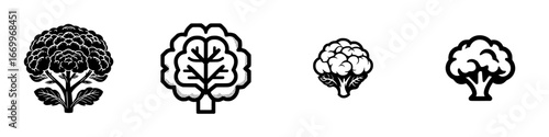 Stylized cauliflower and broccoli icons with leaves and stems, minimalist monochrome icons