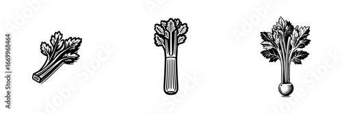 Celery stalks with leaves, black and white line art, isolated on white, minimalist monochrome icons