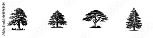 Stylized black trees with detailed foliage and trunks on white background, minimalist monochrome icons
