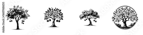Stylized trees with fruits and blossoms, isolated on white background, minimalist monochrome icons