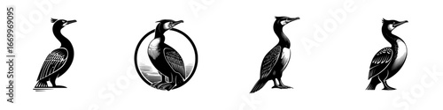 Stylized Cormorant Bird in Black and White, minimalist monochrome icons