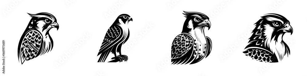 Fototapeta premium Stylized Falcon and Hawk Heads and Silhouettes, minimalist monochrome icons