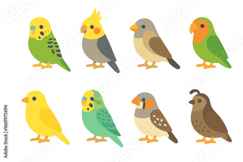 Colorful Pet Birds. Flat vector mini-illustrations small pet birds in colors children's illustrations: budgerigar, cockatiel,