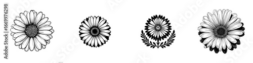 Black and white daisy floral line art with decorative elements, minimalist monochrome icons