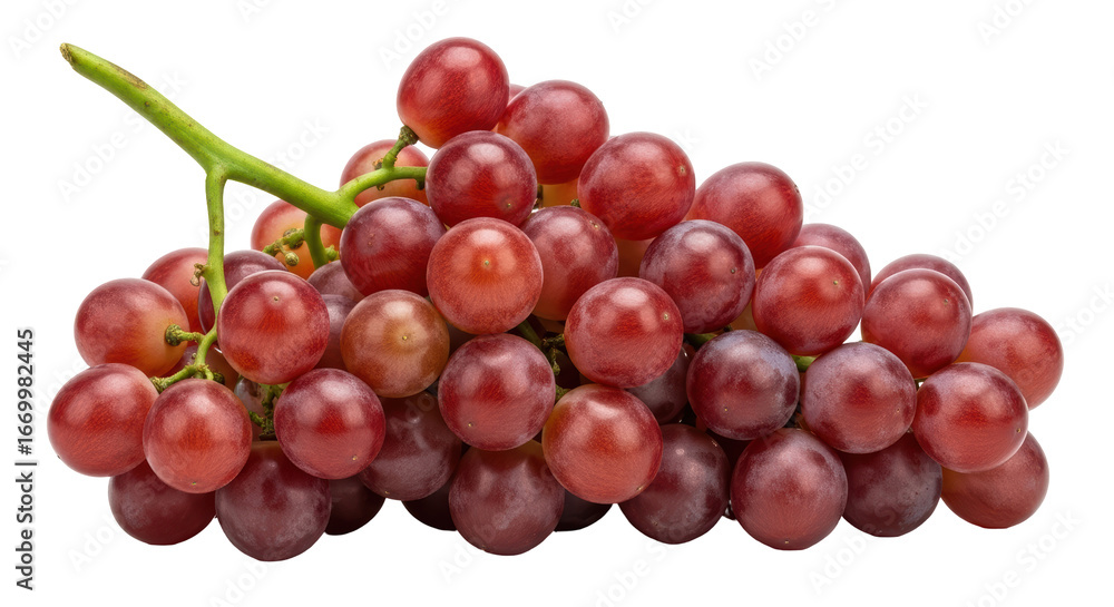 Fototapeta premium Isolated Red Grapes