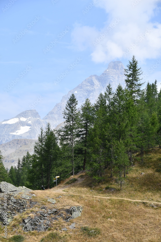 Fototapeta premium Vedute alpine da Cheneil, piccolo paesino in alta Valtournanche.
