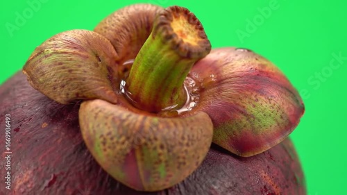 close up of an fruits