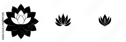 Stylized lotus flower designs with varying sizes showcasing intricate petal details and symmetrical shapes