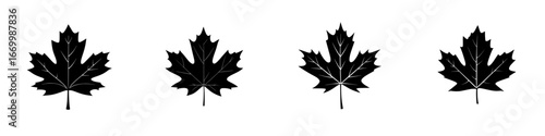 Black silhouettes of maple leaves arranged in a row showcasing autumn beauty and nature's artistry against a clean background