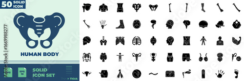 Human Body Solid Editable Icons set. Vector illustration in modern thin solid style of Human Body icons: tubes, brain, anatomy, etc