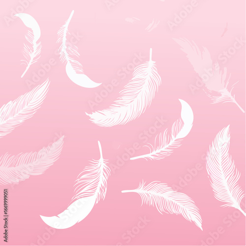 Pink pattern with white feathers vector