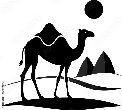 camel in desert