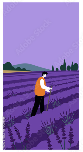 Man working in a beautiful purple lavender field, cultivating plants. Represents agriculture, nature, farming, and summer harvest. Ideal for travel, lifestyle, and business content.