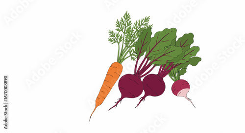 Fresh vegetables including carrots and radishes in colorful design  