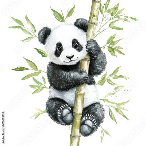 Watercolor illustration of a cute panda climbing a bamboo isolated on transparent background