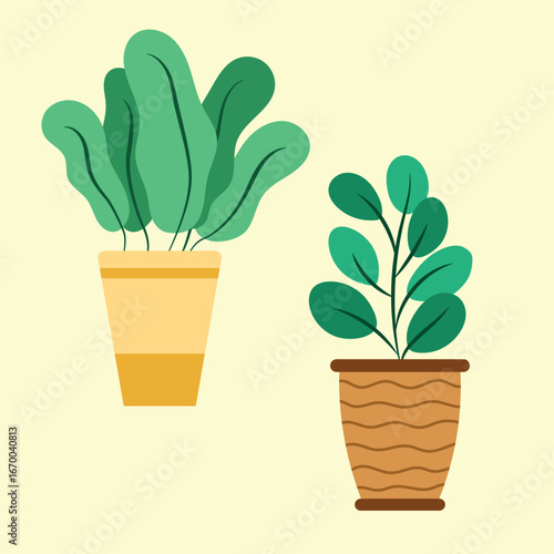 Isolated succulent plant in a flowerpot with sharp thorns, a perfect decoration for a home garden or desk