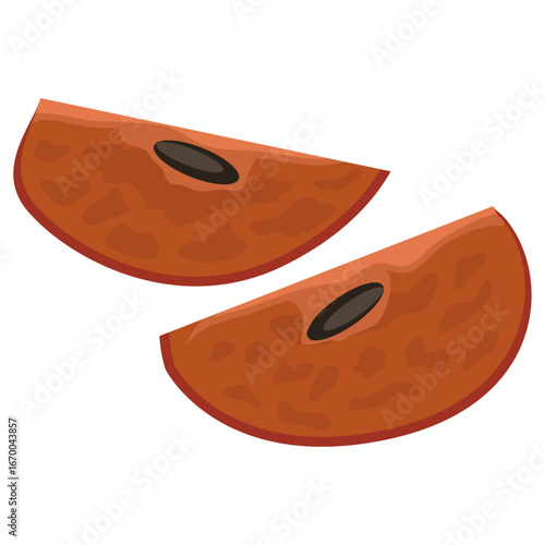 sapodilla slices vector illustration drawing.