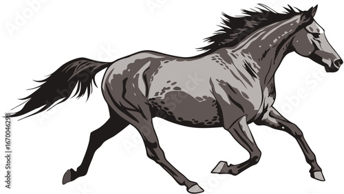 A galloping horse illustration equine art wild animal grey horse running speed power mane tail hooves vector wildlife equestrian animal drawing equine illustration horse art grey steed fast horse str.
