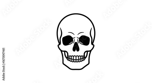 Minimalist human skull line art illustration isolated on a white background, a stark graphic symbol of death and mortality