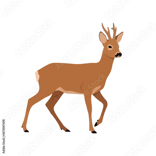 Illustration of a Brown Deer With Antlers Walking on a White Background with Minimalist Design