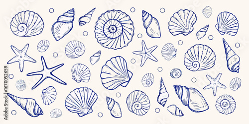 Detailed Hand Drawn Collection Of Seashells And Starfish In Blue Ink marine ocean