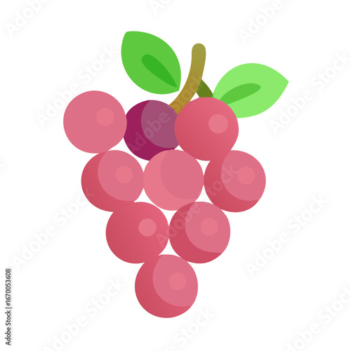 bunch of red grapes