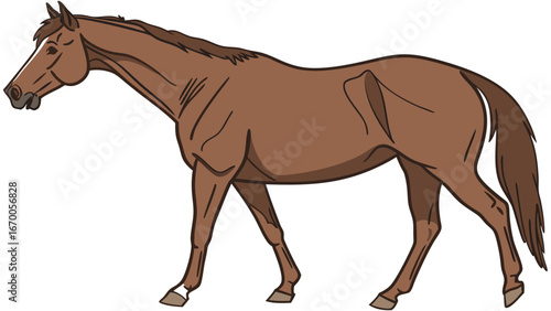 Brown Horse Walking Equine Illustration Farm Animal Clipart Equestrian Graphic Horse Anatomy Drawing.