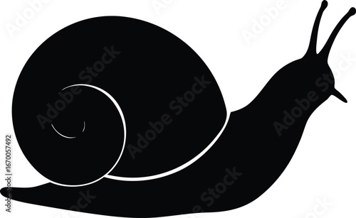 snail silhouette on transparent background