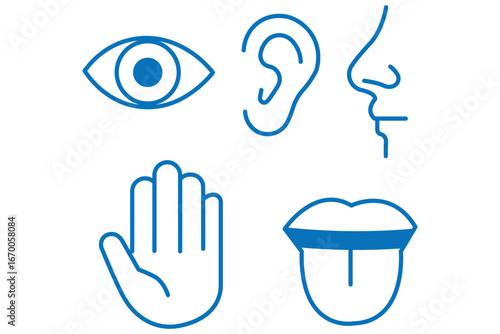 Human senses icon set. Vision eye, smell nose, hearing ear, touch hand, taste mouth with tongue.  Five senses of human nervous system. Five human senses icons. Vision smell hearing touch taste senses 